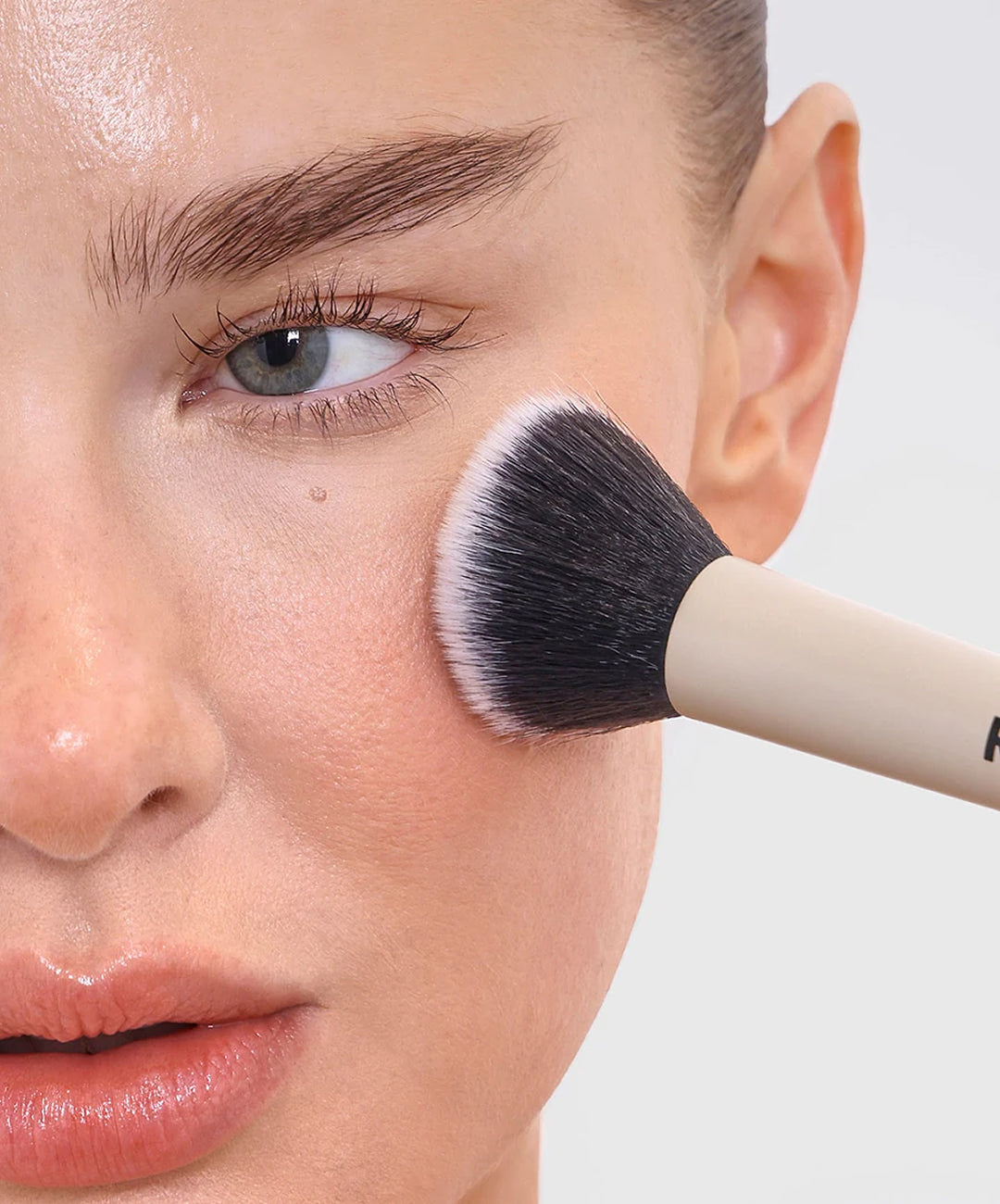 The Skin Base Collection
